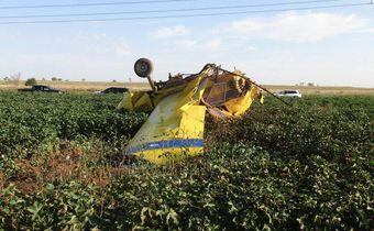 'Gender Reveal' Celebration in Texas Led to a Plane Crash