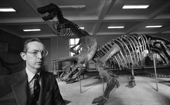 Robert Goelet, New York Grandee and Naturalist, Dies at 96