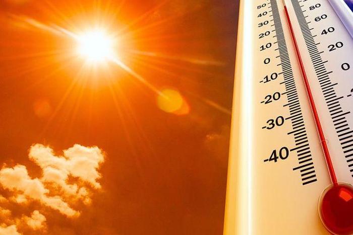 We’re living in hottest decade on record, says UN. [pmnewsnigeria]