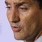 Canada's Prime Minister Justin Trudeau has offered to supply the US with rare earth minerals used in many high tech products