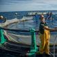 Aquaculture offers hope to struggling fishermen in the Moroccan city of M'diq