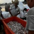 Aung Gyi is forced to fish covertly under the shroud of night in western Myanmar waters -- China may be trying to transform the strategically key region into a shipping and industrial hub -- but locals and activists fear they are being left out of the ...