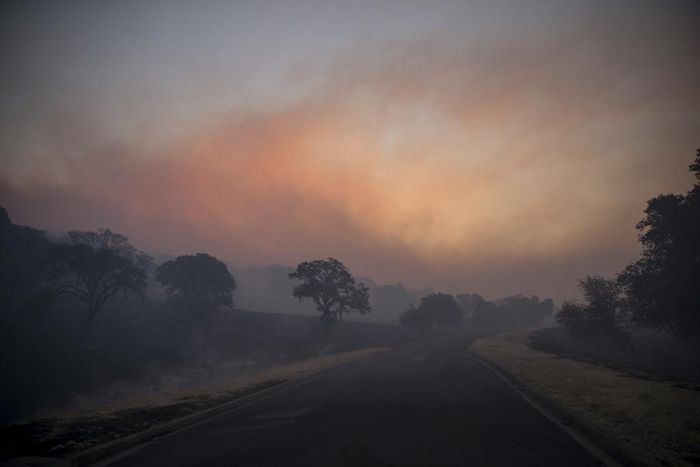Should You Wear a Face Mask for Wildfire Smoke?