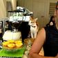 Chow Chung-ming moved to Taiwan to pursue his dream of opening a cat cafe, and also for the island's relative freedoms
