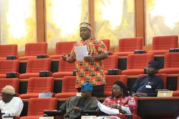 Senator Ifeanyi Ubah (YPP Anambra South). [naijapolity]