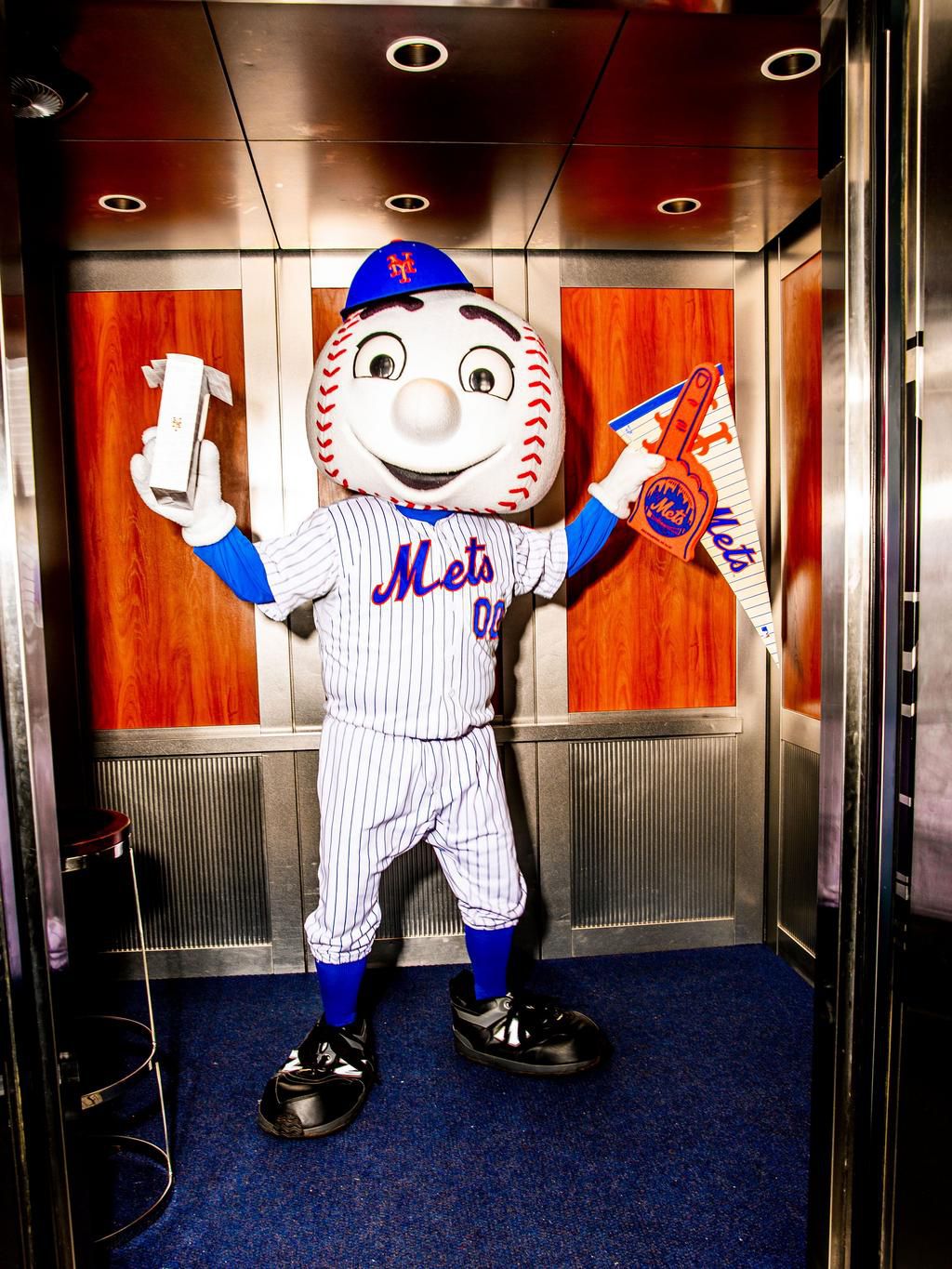 You're Wired to Support Your Favorite Sports Team