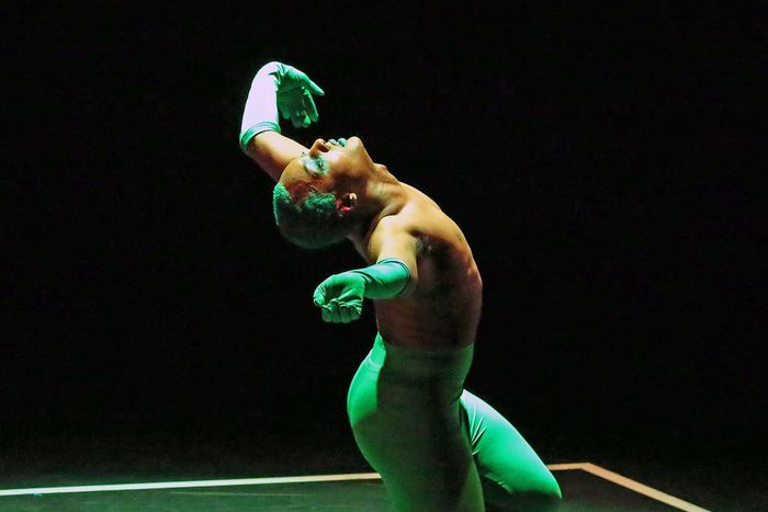 Two Vogue Shows Strike Art-World Poses