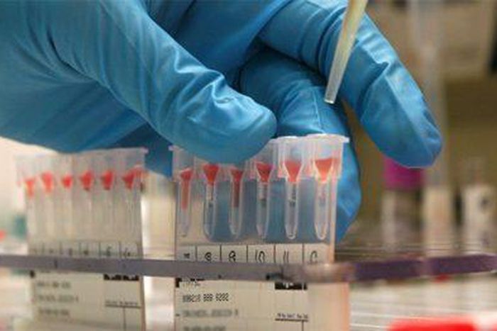 60% of drugs imported to be manufactured locally – NAFDAC. [PM News]