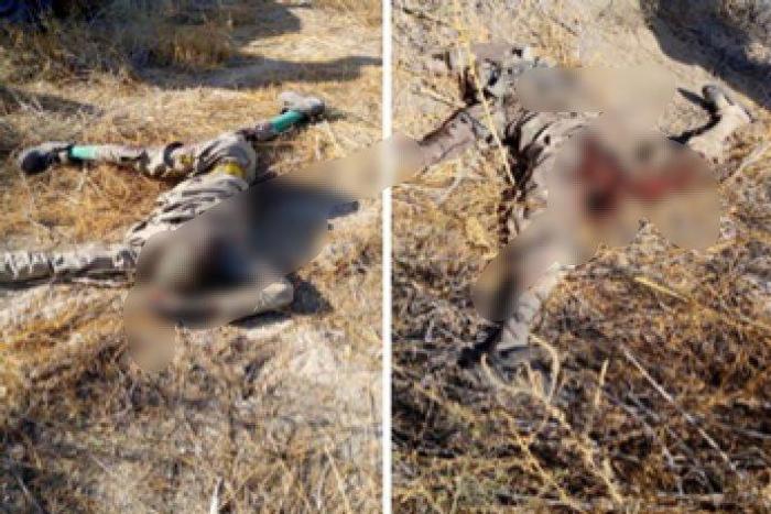 Troops kill 13 Boko Haram, ISWAP terrorists in Borno. [Twitter/@fredwave]