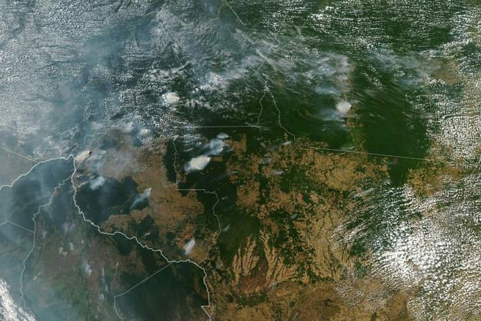 A NASA Earth Observatory image shows several fires burning in the Brazilian states of Amazonas (top C-L), Para (top R), Mato Grosso (bottom R) and Rondonia (bottom C) on August 11, 2019, while Bolivia appears on the left bottom