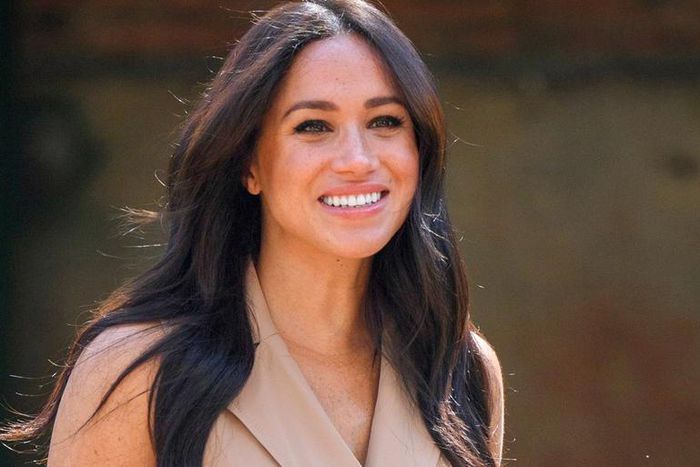 Meghan Markle Wears $139 Banana Republic Dress