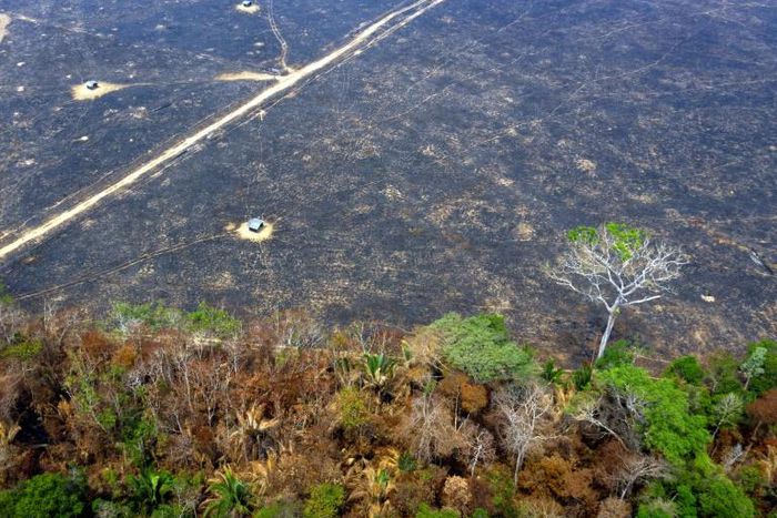 Aerial view of burnt areas of the Amazon rainforest near Porto Velho, in Rondonia state