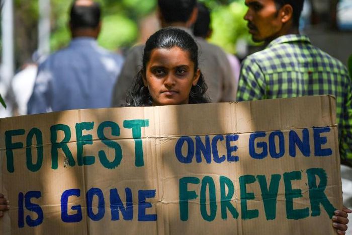 Fires in the Amazon rainforest and trade wars will be top of the agenda at the summit