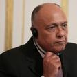 Egypt's Foreign Minister Sameh Shoukry, pictured in September 2019, agreed to talks over a controversial dam on the Nile