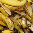 Banana peels(ThriftyFun)