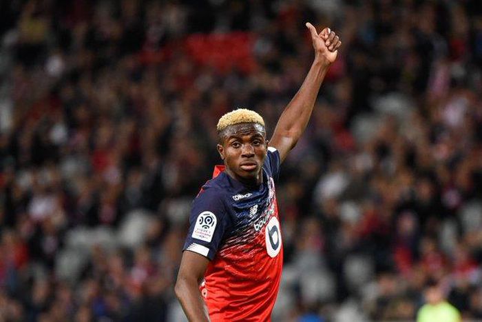 Victor Osimhen (Twitter/Lille)