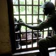 Virunga is home to a world-famous population of mountain gorillas