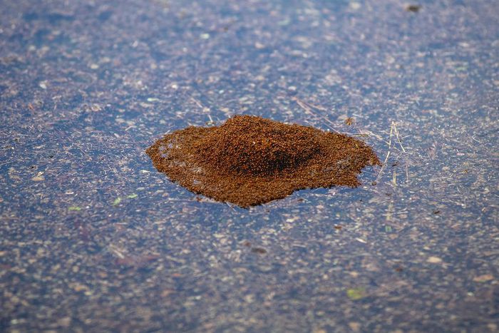 Still-Powerful Storm Batters the Outer Banks, Then Churns Back Out to Sea