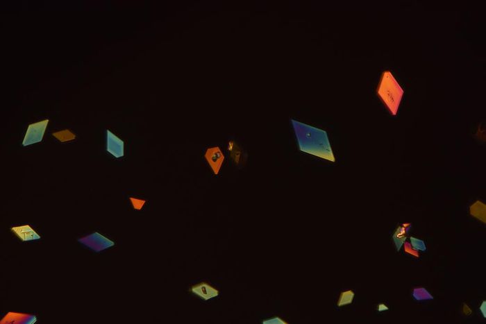 A Nazi Version of DDT Was Forgotten. Could It Help Fight Malaria?