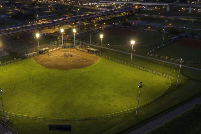 Dr. Pimple Popper Pops A Field Of Blackheads