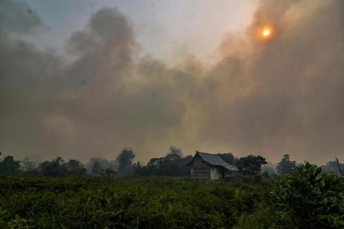 Fires belch smog across Southeast Asia annually, but this year's are the worst since 2015