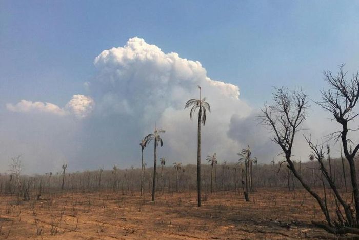 A general view of the fires in the Bolivian Amazonian area of San Jose de Chiquitos in Santa Cruz, on September 9, 2019