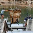 The All-Russian Fisheries and Oceanography Institute has released 10 killer whales since June
