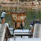 The All-Russian Fisheries and Oceanography Institute has released 10 killer whales since June