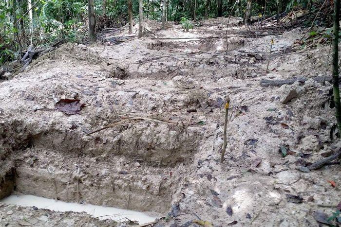 Illustrative Photo: Mass graves discovered in Benue. (News Strait Times)