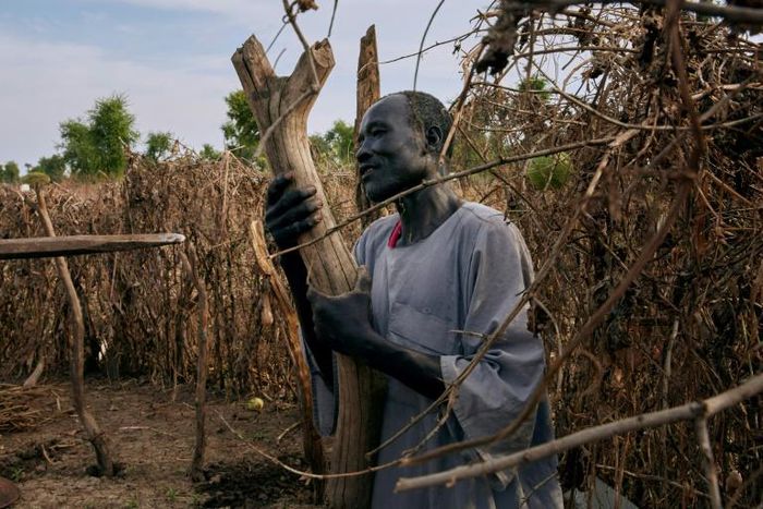 Residents of the camp are searching for wood to rebuild their homes