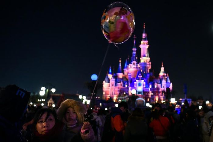 A court case against Shanghai Disneyland has ignited social media in China