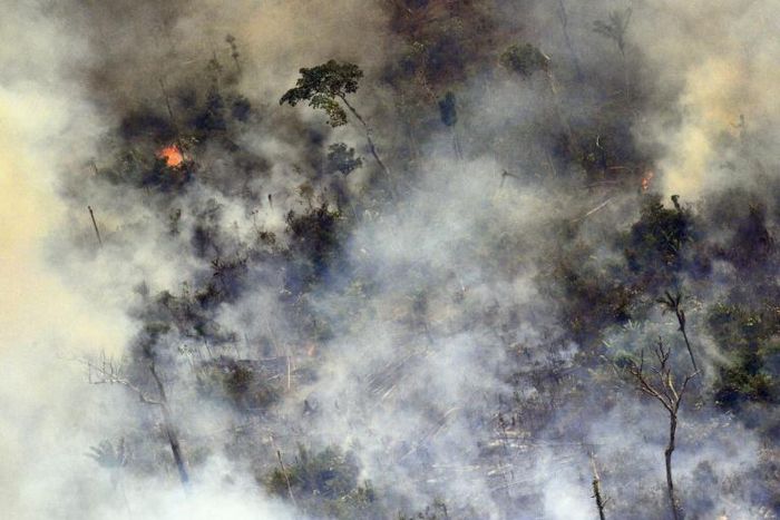 Aerial picture showing smoke from a two-kilometre-long stretch of fire billowing from the Amazon rainforest about 65 km from Porto Velho, in northern Brazil, on August 23, 2019