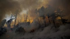 Despair for Many and Silver Linings for Some in California Wildfires