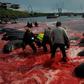 Fishermen and volunteers pull on shore pilot whales killed in a May hunt of the Faroe Islands, where pilot whaling is legal -- Bolsonaro's tweets wrongly targeted Norway, leading to ridicule of the Brazilian leader on social media