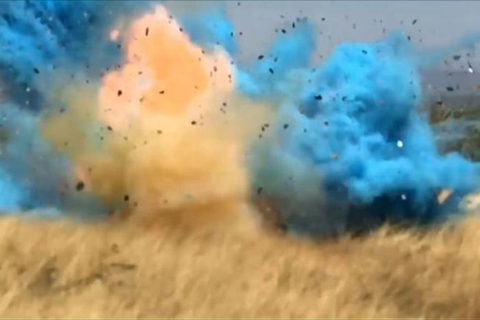A border guard accidentally started a giant fire in Arizona in 2017 at a gender reveal party by shooting at a homemade target made with a highly explosive product