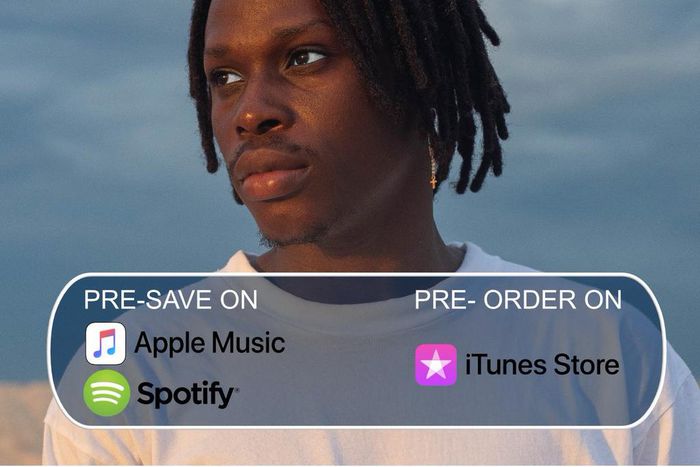 Fireboy DML's album 'Laughter, Tears and Goosebumps' to drop soon. (Twitter/FireboyDML)