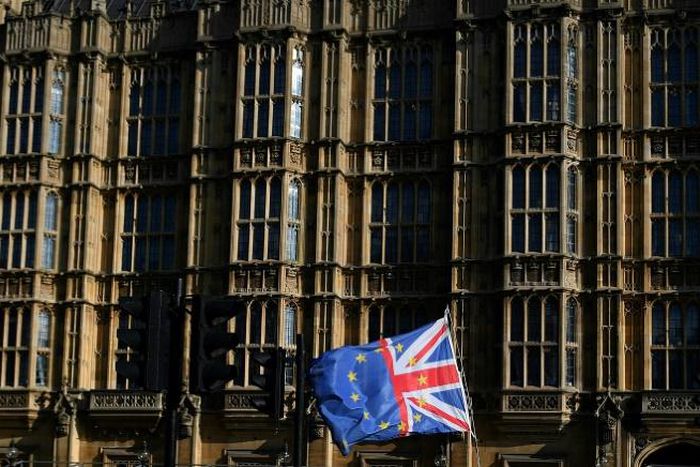 'Remain' voters are being encouraged to abandon party loyalty to vote for the candidate best placed to defeat pro-Brexit politicians