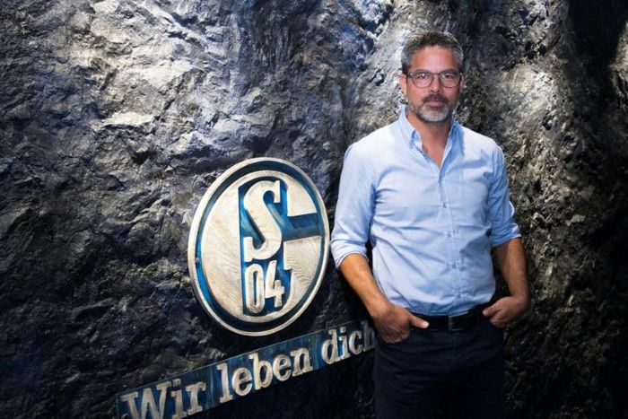 At the coalface: having steered former club Huddersfield to the Premier League, David Wagner has his work cut out turning around the fortunes of his new Bundesliga team Schalke 04.