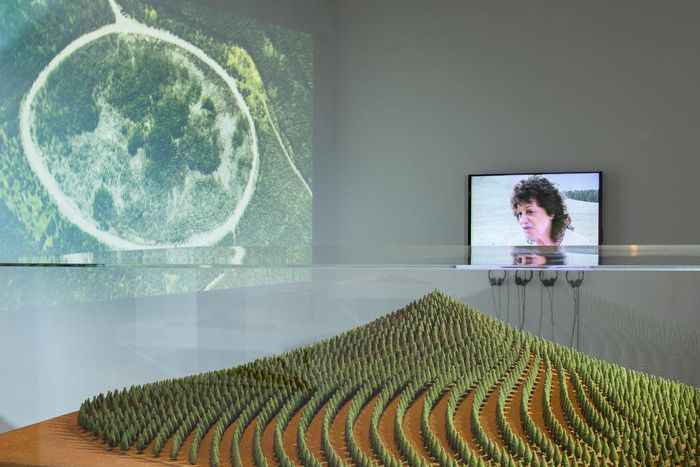 At 88, Agnes Denes Finally Gets the Retrospective She Deserves