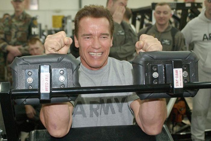 How to Use Machines Like Arnold Schwarzenegger