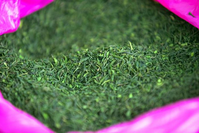 Ethiopia's state-run Substance Rehabilitation Centre tackles khat usage, in a country where chewing the leafy stimulant is commonplace