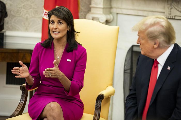 Haley More Than Closes Her Distance From Trump