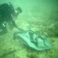 An association of amateur divers in Senegal is removing plastic rubblish from the seabed