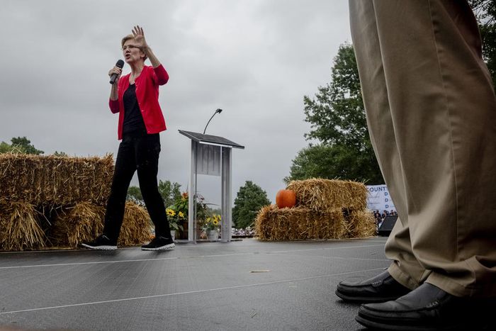 2020 Democrats Say Trump's Call With Ukraine President Is a 'Smoking Gun'