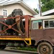 Elephants are a protected animal in Sri Lanka and new rules will increase the length of jail time for those found to have been cruel to the beasts