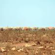 The report said Somalia was 'among the most climate-vulnerable countries in the world'