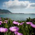 The operation began in February when police on the British territory of Gibraltar found 84 bales of hashisch on a sinking boat