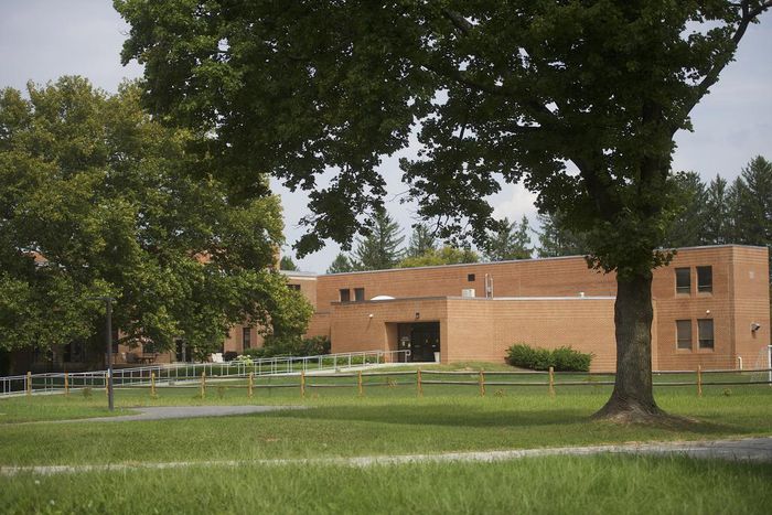 British Family Says One Wrong Turn Led to ICE Detention Nightmare