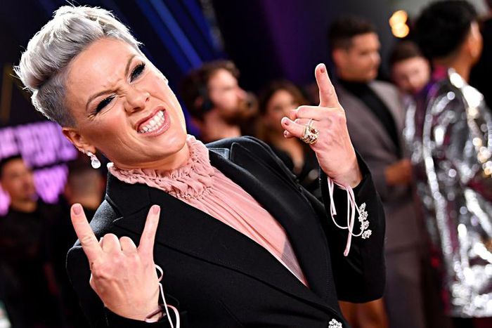 Inside Pink's $200 Million Net Worth