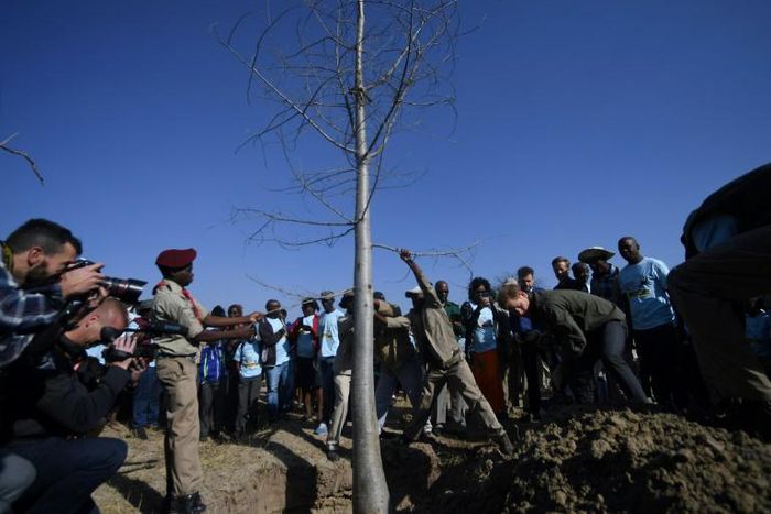 Planting for the future: Prince Harry and Botswanan schoolchildren